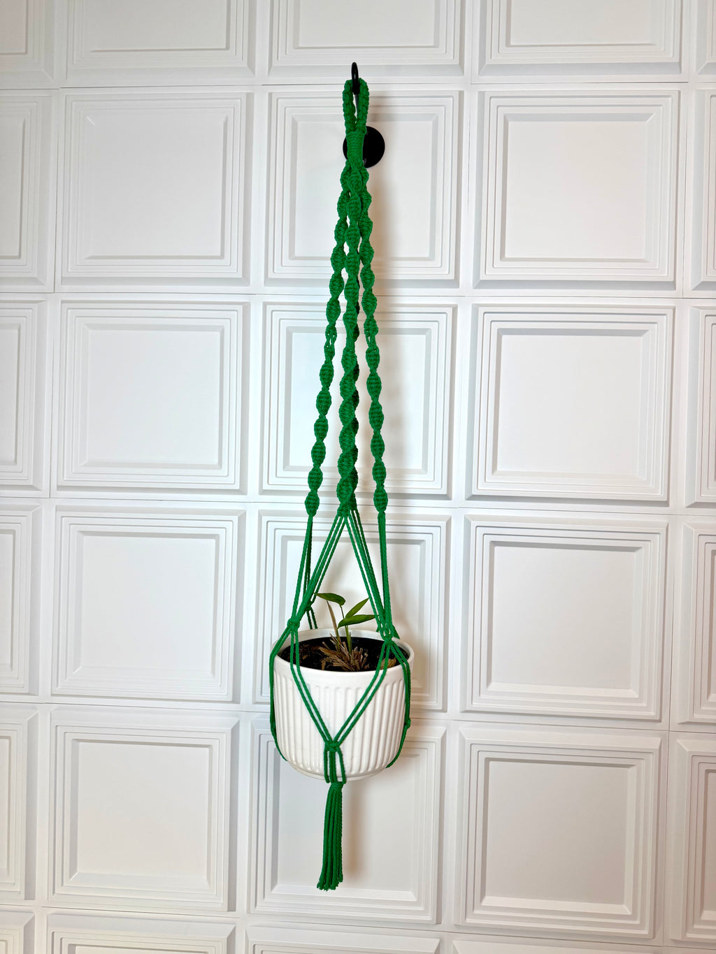 Emerald Green Plant Hanger