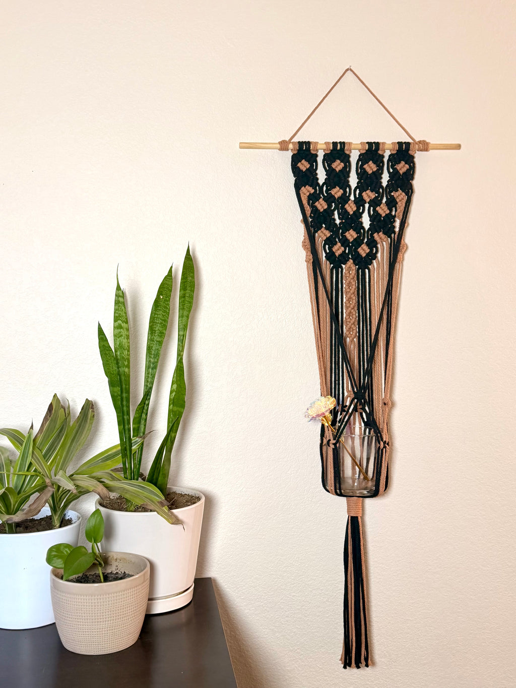 Arizona Nights Plant Hanger