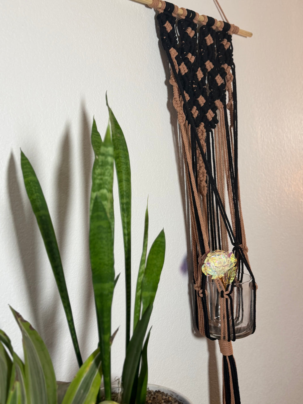 Arizona Nights Plant Hanger