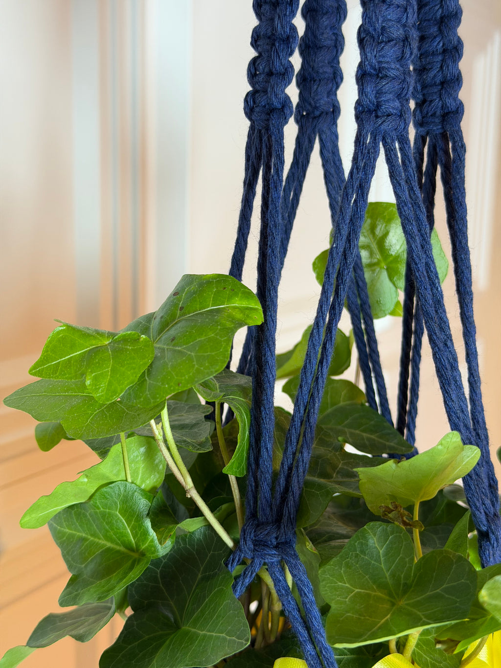 Simple Flower Plant Hanger