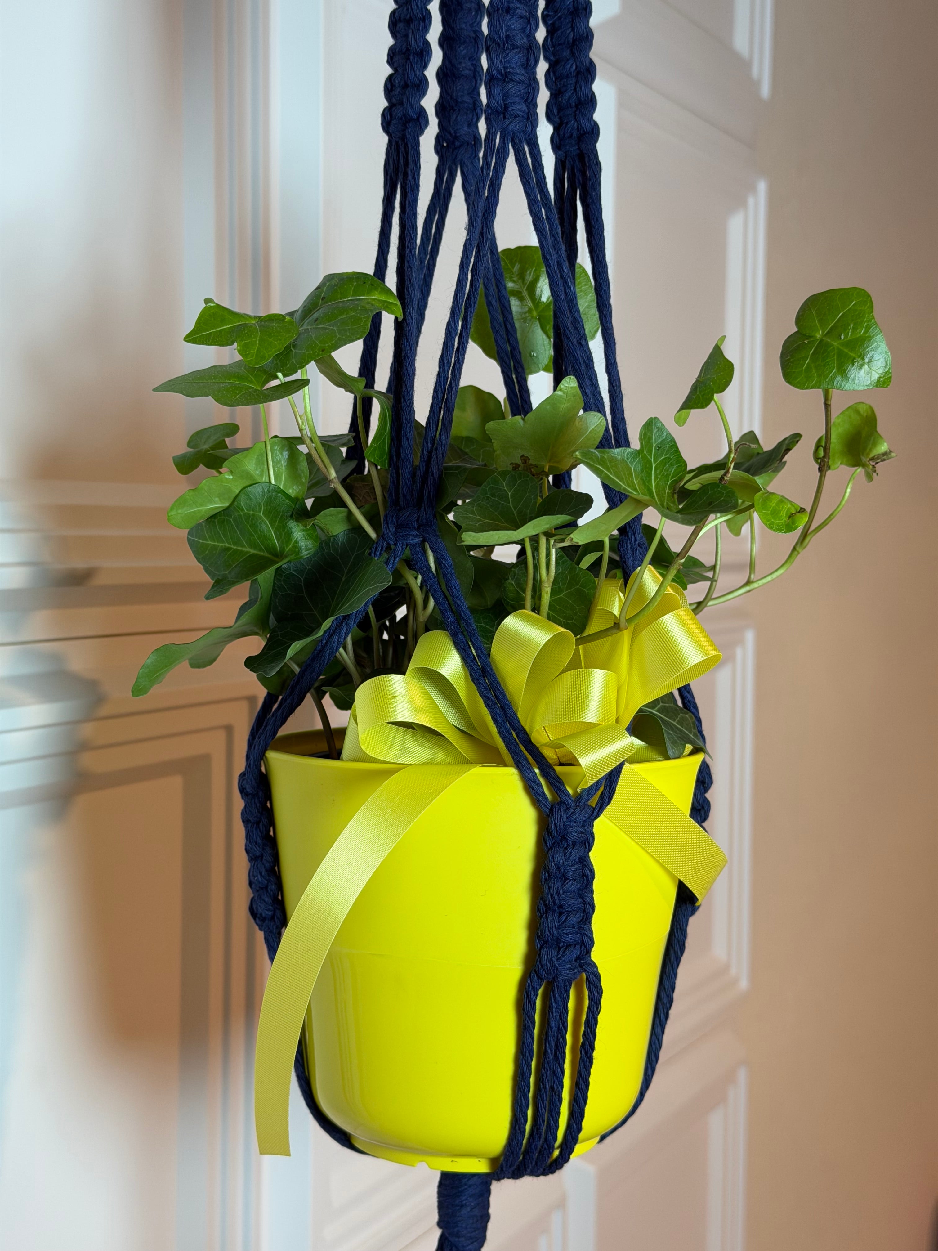 Simple Flower Plant Hanger