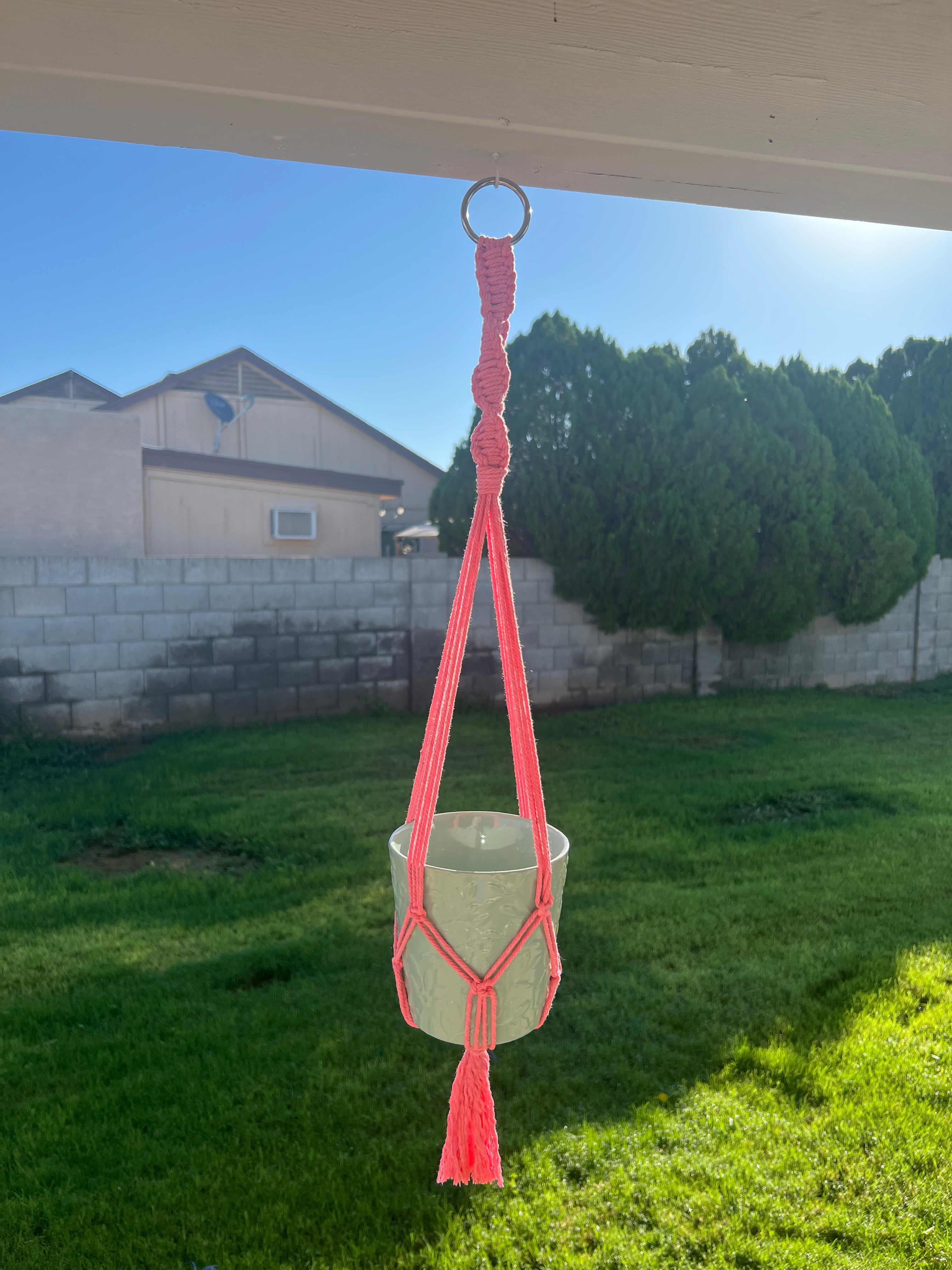 #111 Small Plant Hanger