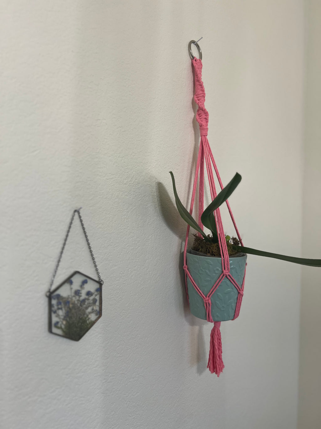 #111 Small Plant Hanger