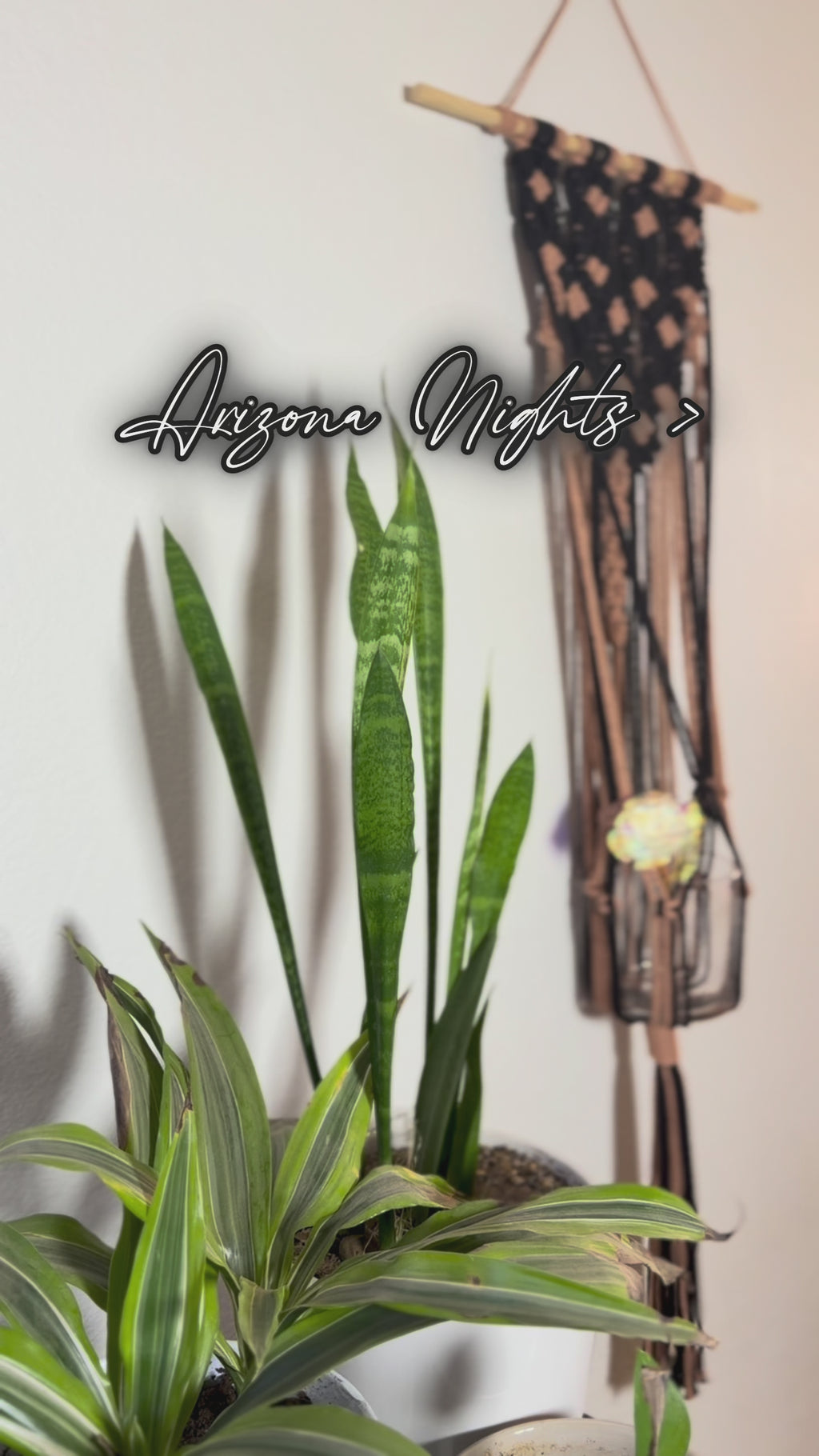 Arizona Nights Plant Hanger